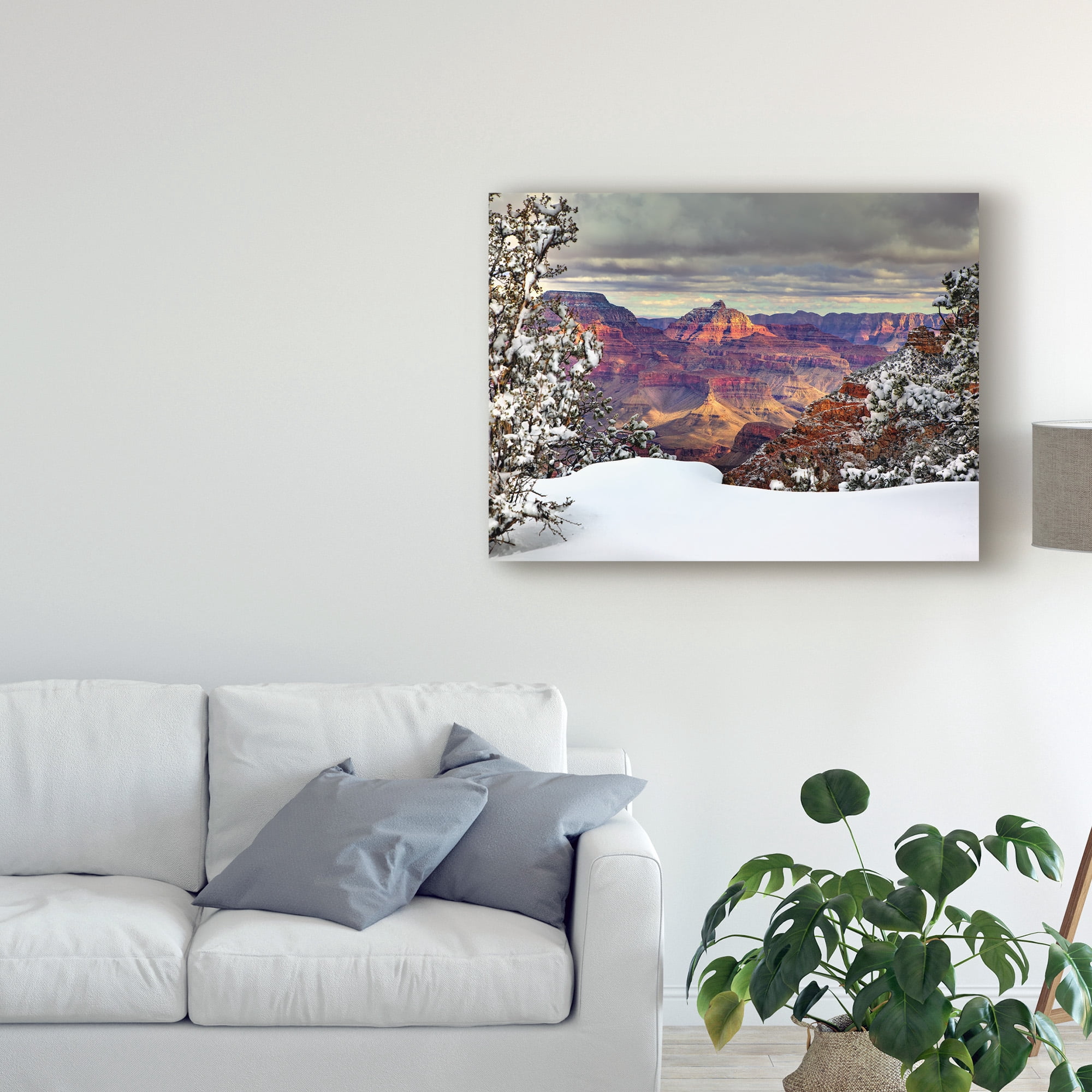 Trademark Fine Art 'Snowy Grand Canyon I' Canvas Art by David Drost