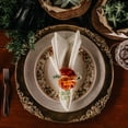 thumbnail image 1 of WEUVEB 4Ud Para Servilleta Con Rhinestone Y Para Banquetes Y Celebraciones, 1 of 6