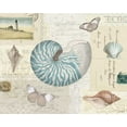 thumbnail image 2 of Pertiet, Katie 24x20 White Modern Wood Framed Museum Art Print Titled - Beach Wonders I, 2 of 4