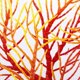 thumbnail image 2 of 1 pieza de coral artificial para la tienda del hogar., 2 of 3