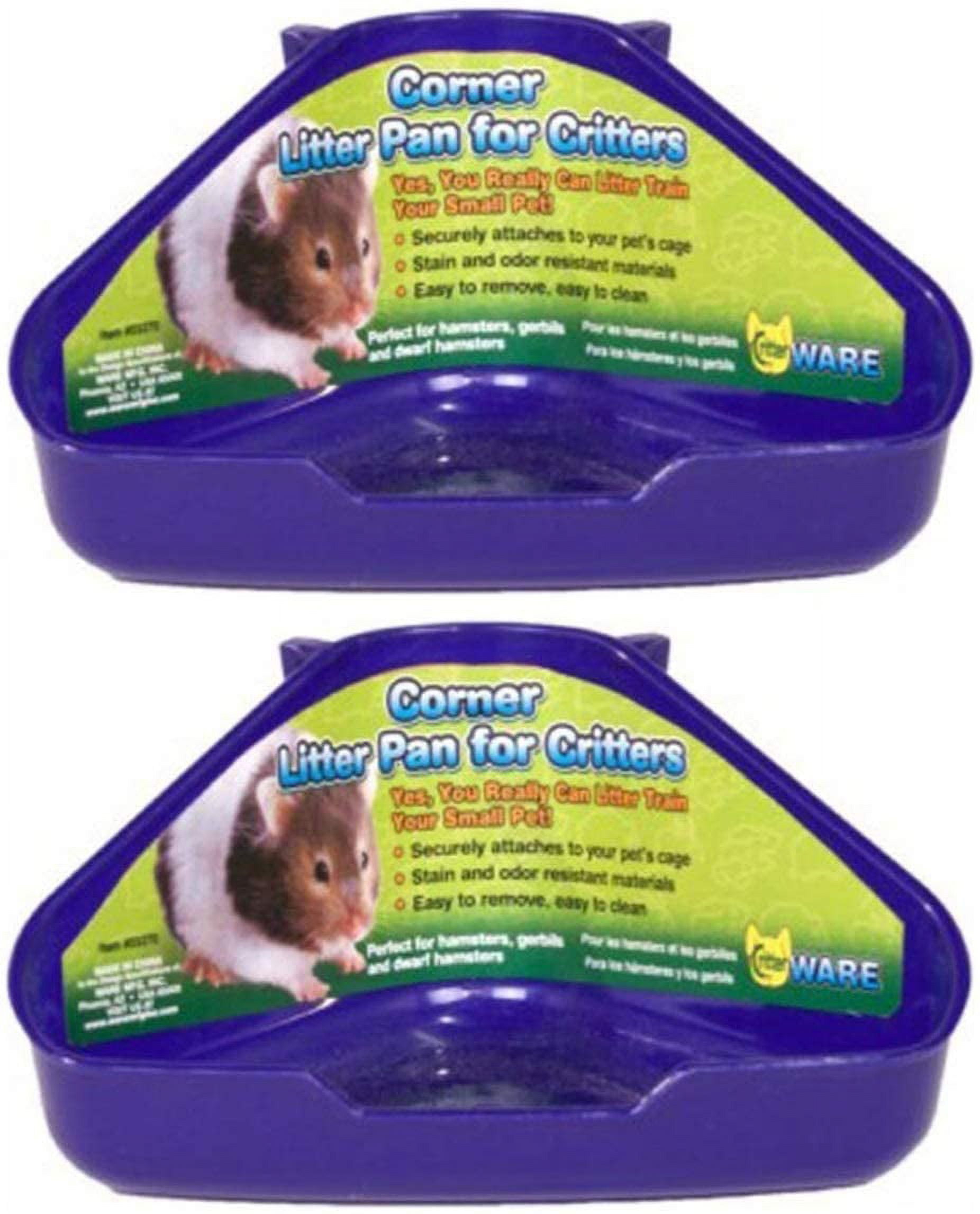 How do you recognized litter train a rat