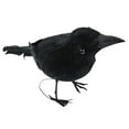 thumbnail image 3 of Realistic Giant Black Raven Bird Prop, 3 of 4