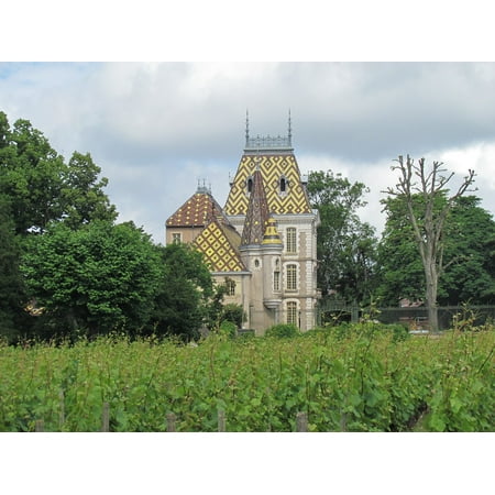 Castle French Wine - Canvas Print Beaune Summer France Wine Castle Stretched Canvas 10 x 14