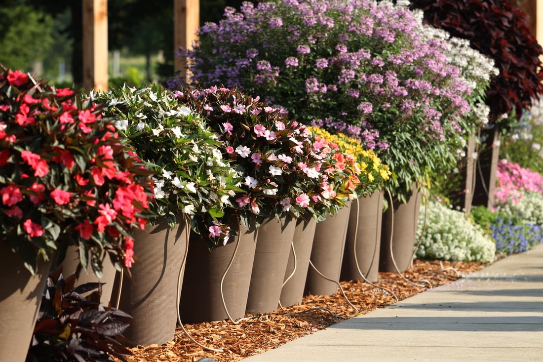 Proven Winners WaterWise Drip Irrigation System