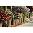 Proven Winners WaterWise Drip Irrigation System
