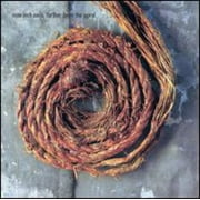 Nine Inch Nails - Further Down the Spiral - Music & Performance - CD