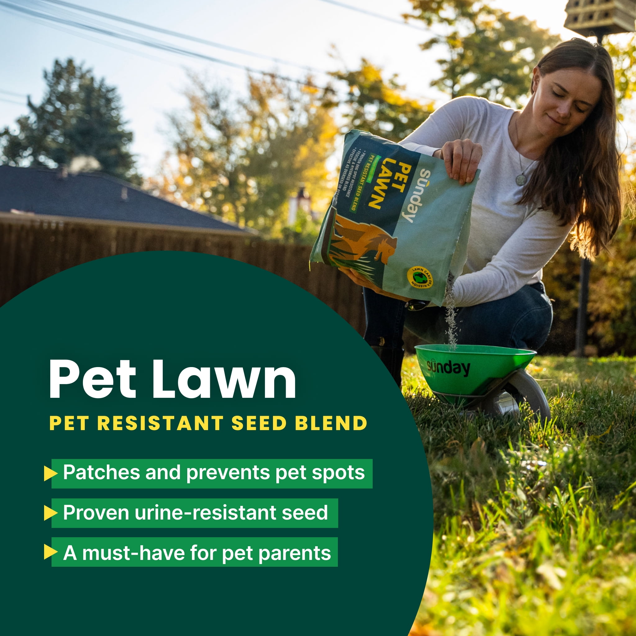 Sunday Pet Lawn Premium Urine-Resistant Pet-Safe Grass Seed, 5 lb Bag, Sun & Shade