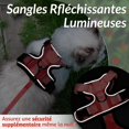 thumbnail image 4 of Arnés para gatos Correa para perros pequeños Arnés ajustable para gatitos (rojo S) Collar reflectante para gatos Chaleco transpirable para conejos, gatos europeos, Maine Coon, personas Rojo Verde Cocina, Decoración y Otros, 4 of 5