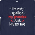 thumbnail image 4 of Inktastic I'm Not Spoiled My Grandpa Just Loves Me Boys or Girls Baby T-Shirt, 4 of 5