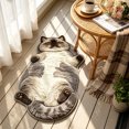thumbnail image 6 of Adorable Fluffy Feline Floor Mat Plush Sleepy Cat Shaped Rug For Living Room Hallway Doorway Warm Housewarming Present Choice For Cat Moms (60x90cm), 6 of 6