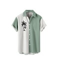 thumbnail image 1 of Camisas Para Hombre Camisa Hawaiana Camisas de Estilo de Moda Camisas Casuales de Manga Corta Odeerbi  ODB158857, 1 of 5