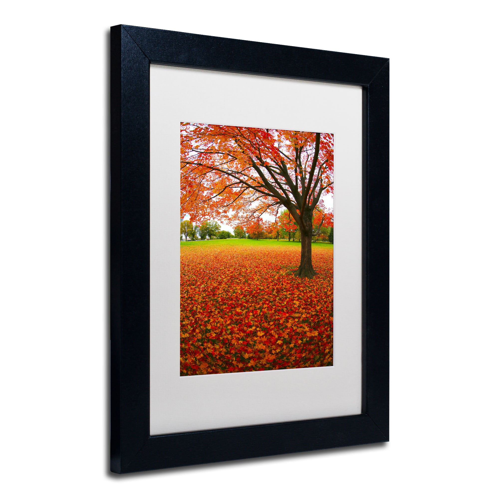 Trademark Fine Art "Autumn Expressions" Canvas Art by CATeyes, White Matte, Black Frame