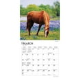 thumbnail image 2 of Horse Lovers | 2024 7x14" (Hanging) Mini Wall Calendar | BrownTrout, 2 of 3