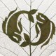 thumbnail image 5 of Arte de tallado de hojas Hojas secas reales naturales de flores Colección de constelaciones perfecl Arte de la talla de la hoja, 5 of 8