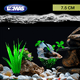 thumbnail image 2 of Planta P/Acuario 7.5 Cm - 6 Pz, 2 of 2