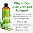 thumbnail image 6 of Seven Minerals Organic Aloe Vera Gel – Texas-Grown Fresh Aloe – Vegan, Unscented Gel for Face, Skin, Hair & Sun Care, 12 fl oz, 6 of 10