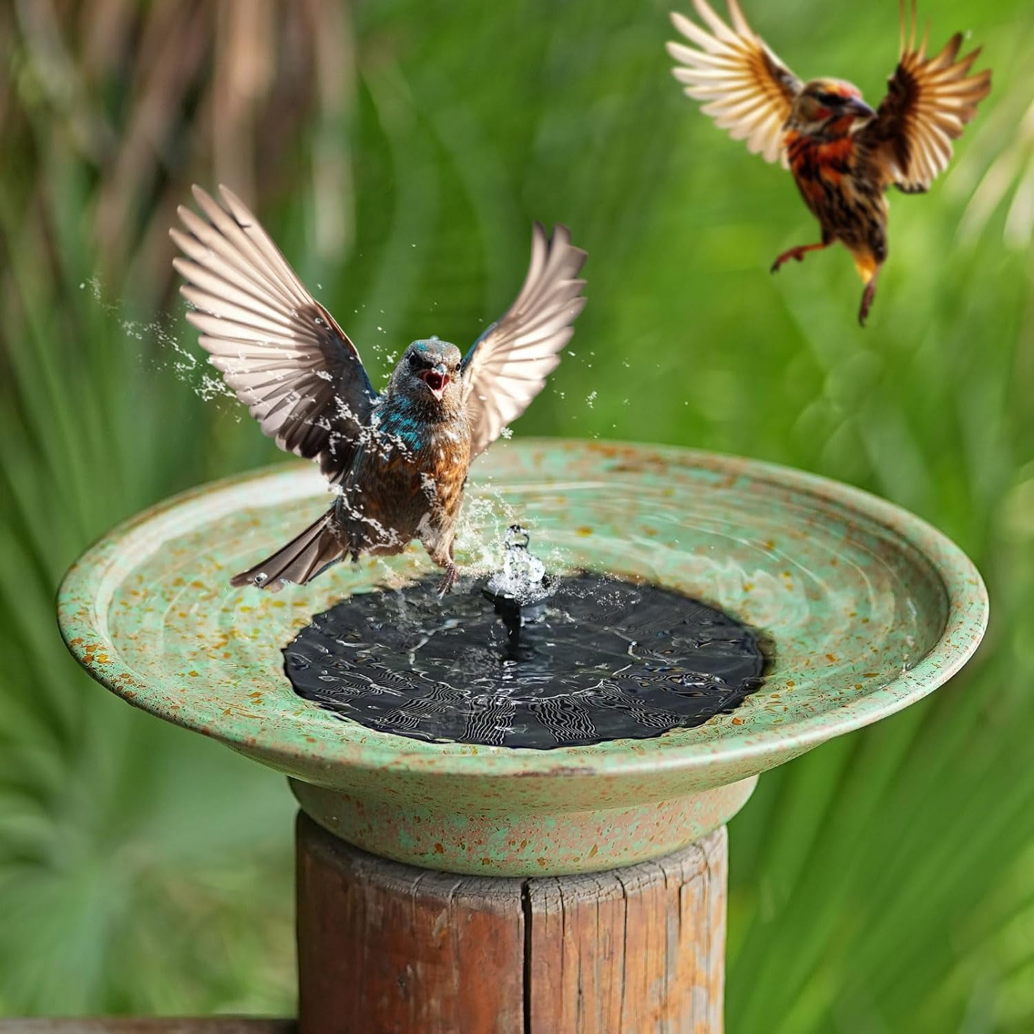 Outdoor Bird Bath Bowl, for Outdoors Garden Patio Decor.