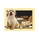 thumbnail image 1 of Lindo perro resina diamante costura 5D Animal pintura punto de cruz decoración mosaico imagen Jumpingount JJ13342-05, 1 of 6