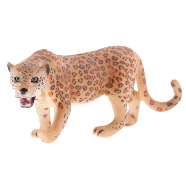 Diversos Modelos de Animales Salvajes / Marinos / Zoológicos s de Animales Realistas Naturaleza Y Ciencia Juguete - 16 Sunnimix Figuras de animales realistas