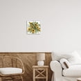 thumbnail image 5 of Stupell Industries Bold Sunflower Bunches Floral Country Blossom Bouquet Graphic Art White Framed Art Print Wall Art, Design by Cindy Jacobs, 5 of 5