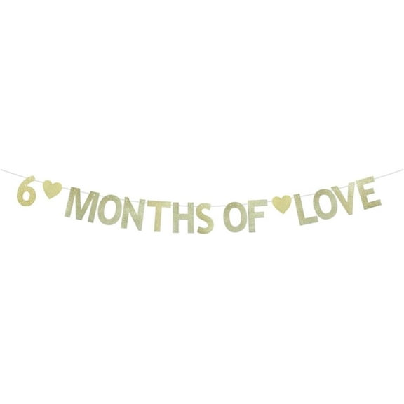 6 Months Of Love Banner, Half Way To One Party Sign, Baby Boys Girls 6 Months Old Birthday Party Bunting, Half A Year Birthday Party Decoration Garlands, Gold
