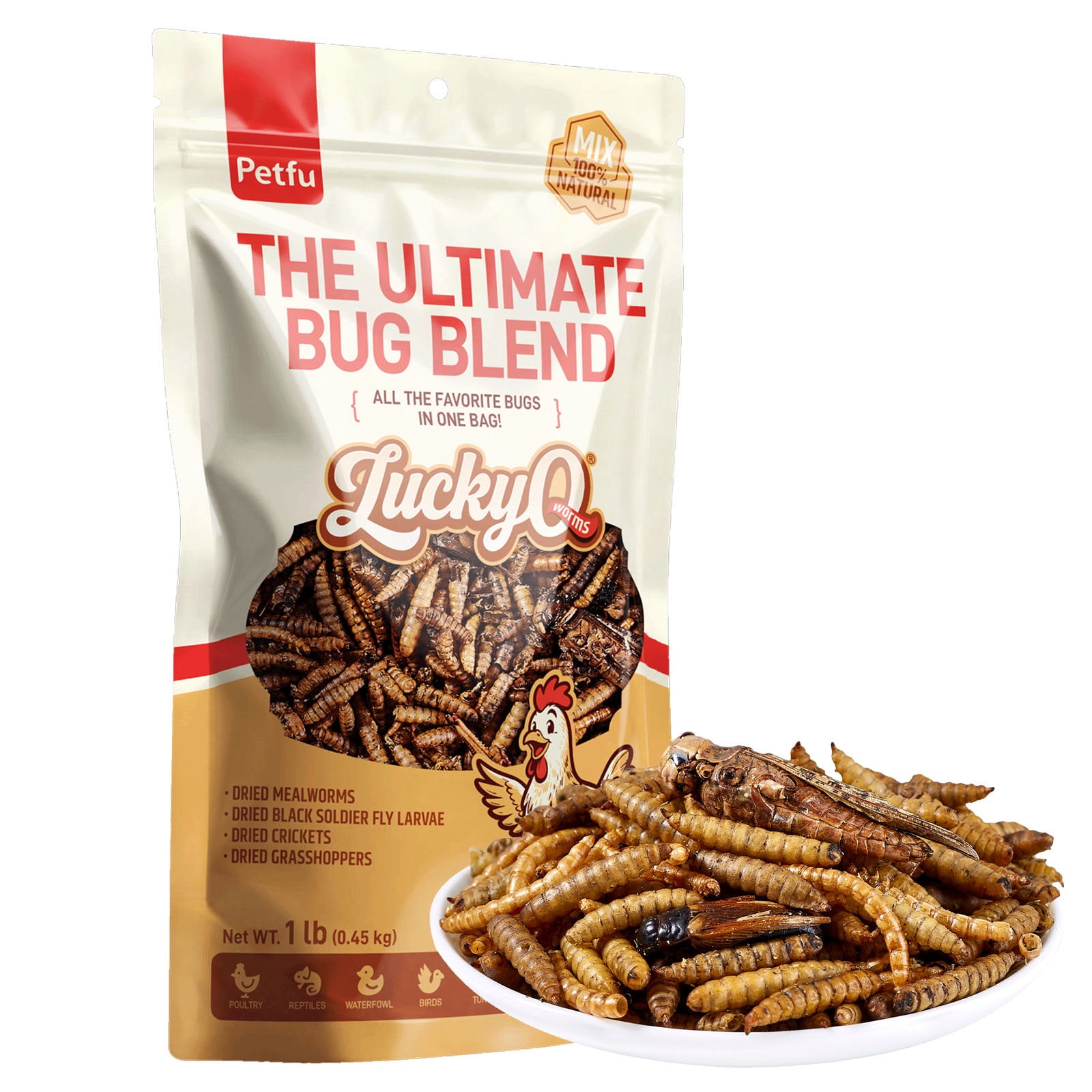 LuckyQworms 1 lb High Protein Dried Insect Treat, Natural Bug Blend of Mealworms, Black Soldier Fly Larvae, Crickets & Grasshoppers, Calcium & Phosphorus for Bearded Dragons, Leopard Geckos, Poultry