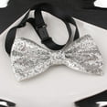 thumbnail image 1 of Up To $10 Tie Silver Mens Banquet Performance English Color Adjustable Bow Bow Tie, 1 of 3