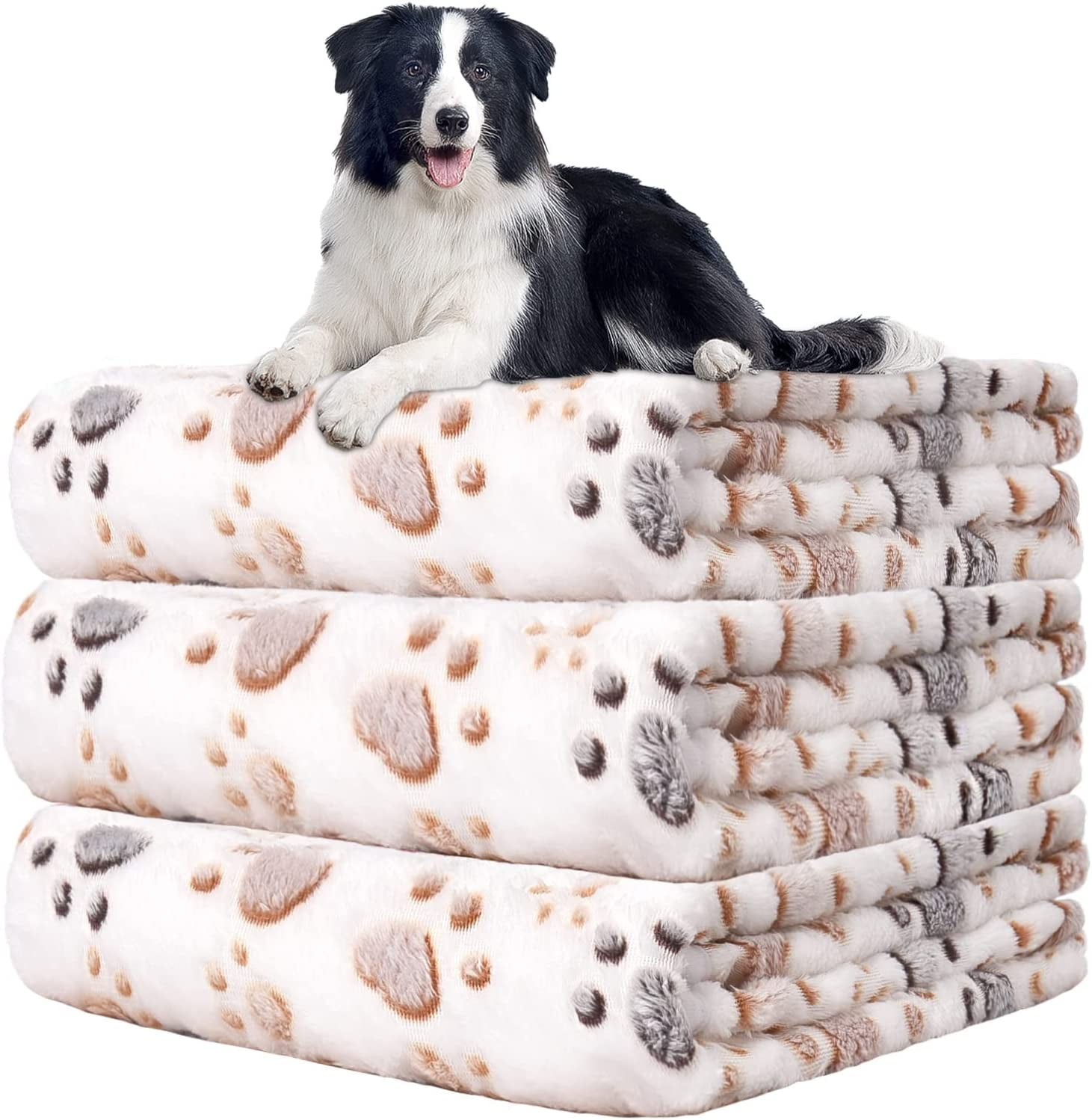 Why Do Dogs Paw At Blankets