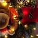 thumbnail image 2 of Luces navideñas LOENDE 5 m 50 LED Color Blanco Cálido, 2 of 9