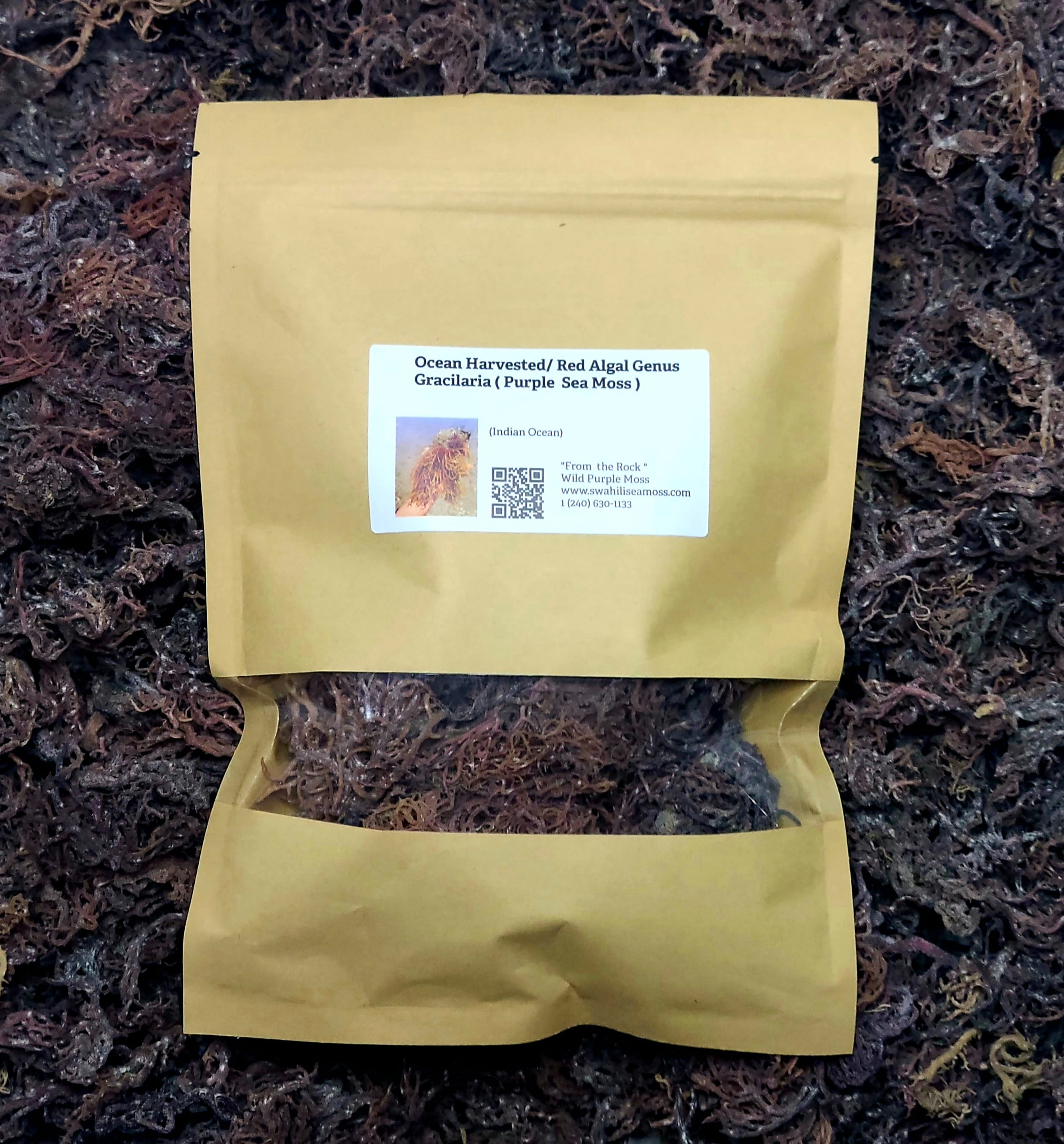 Swahili Sea moss Ocean Harvested Raw Purple Sea Moss from the Indian Ocean 1 oz. ( 0.06 lb