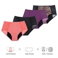 thumbnail image 3 of Ropa interior sexy con estampado de leopardo, ropa interior menstrual absorbente de 4 capas, ropa interior menstrual para mujer a prueba de fugas, 3 of 6