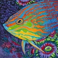 thumbnail image 3 of Vitaletti, Carolee 15x15 Black Modern Framed Museum Art Print Titled - Brilliant Tropical Fish I, 3 of 5
