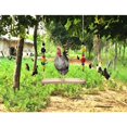 thumbnail image 5 of Accessoire poulailler Balançoire de poulet perchoir de poulet support en bois de poulet poulailler fait à la main jouet pour poules accessoires de poulailler échelle de poulet pour la course de volail esquí esquí Gafas de esquí, 5 of 5