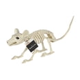thumbnail image 5 of Faux Skeleton Rat Decoration, 7", Halloween by Way To Celebrate, 5 of 6