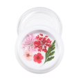 thumbnail image 2 of Herramientas de decoración 3D Flor seca de uñas Shamjiam, 2 of 9