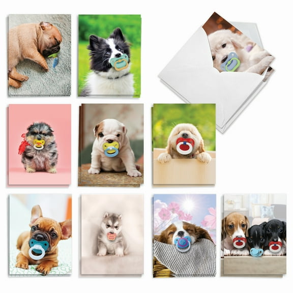 20 All Occasion Blank Note Cards Pack (10 Designs, 2 Each) - Puppy Pacifiers All Occasions (4" x 5.12") AM9172OCB-B2x10