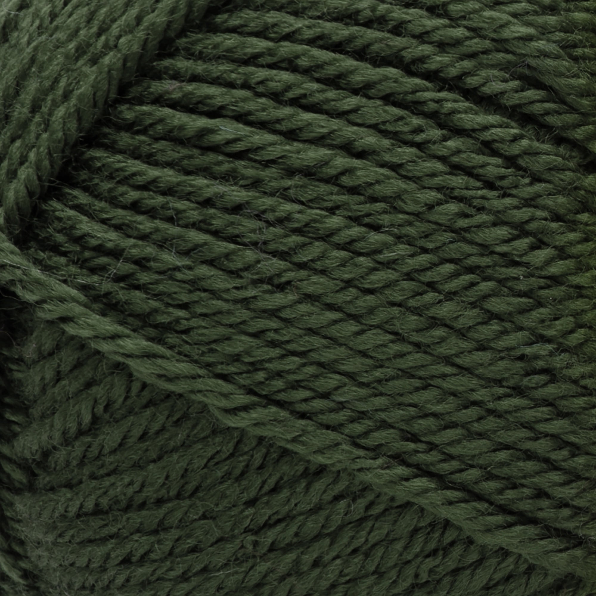 Red Heart® Soft™ #4 Worsted (Medium) Acrylic Yarn, Dark Leaf 5oz/142g 256 Yards (3 Pack)