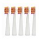 thumbnail image 3 of 5pcs/Set Seago Toothbrush Head for Seago SG610 SG908 SG917 910 507 515 949 958 Toothbrush Electric Replacement Tooth Brush Head, 3 of 5