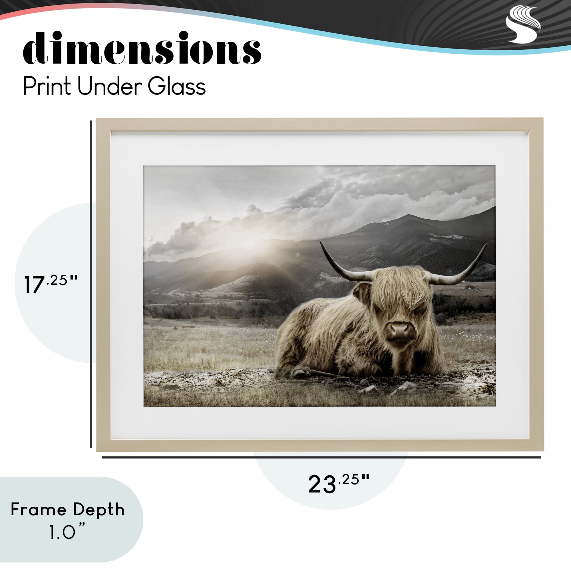 Stupell Industries Cattle Resting in Morning Sun Birch Framed Print Under Glass, design by CAD Designs