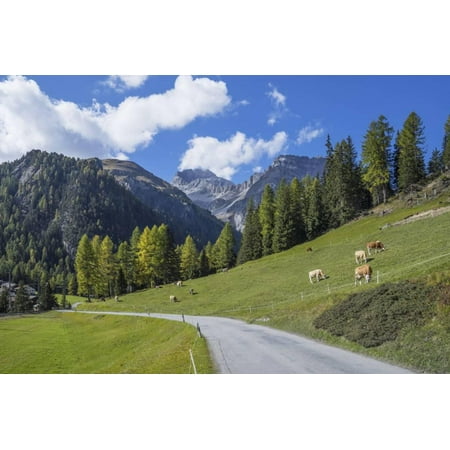 Road to Albula Pass, Graubunden, Swiss Alps, Switzerland, Europe Print Wall Art By Angelo