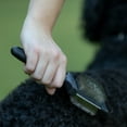 thumbnail image 2 of Jeffers Pet Double Sided Grooming Slicker Brush for Dogs, Cats, Puppies – Flexible Head with Stainless Steel Pins – Detangler Tool for Mats, Loose Fur, Shedding – Home or Professional Use - Small, 2 of 5