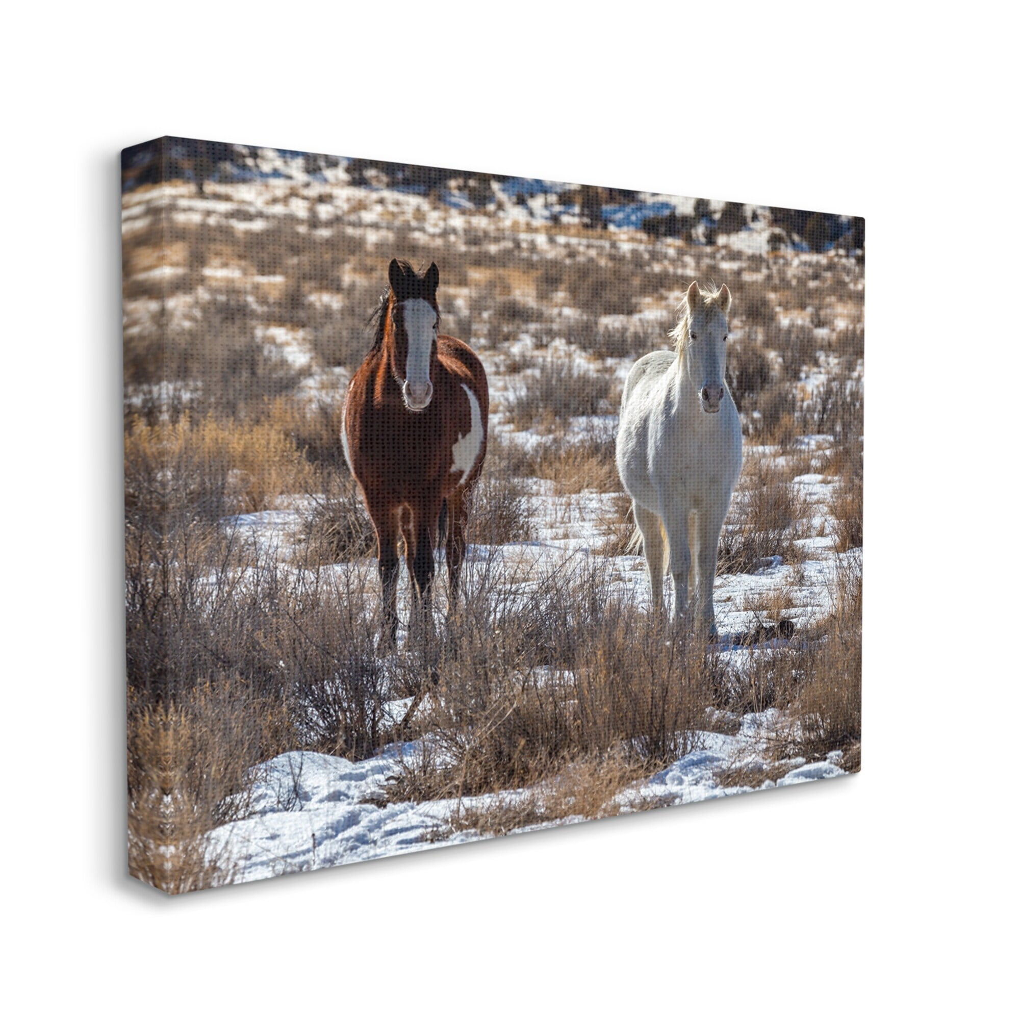 Stupell Industries Pair Horses Walking Through Snow Dusted Grassland Photograph Gallery Wrapped Canvas Print Wall Art, Design by Jeff Poe Photography