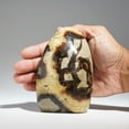 thumbnail image 5 of Polished Septarian Freeform from Madagascar (1.85 lbs), 5 of 5