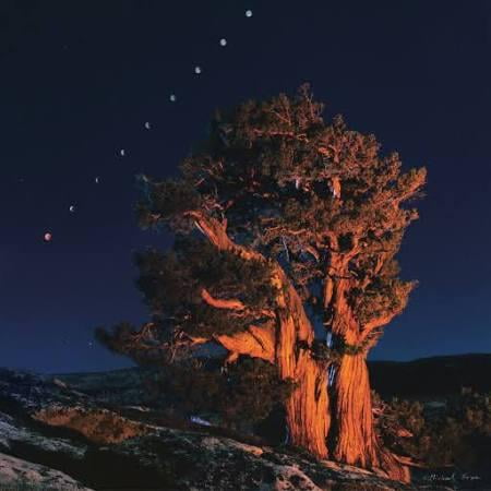 UPC 849469000080 product image for Art Sierra Juniper with the Moon Emerging from a Total Eclipse by Michael Frye 3 | upcitemdb.com