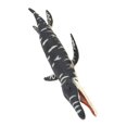 thumbnail image 4 of POINTERTECK Educational Plastic Simulated Dinosaur Model Kids Children Lifelike Biological Toy Ornament Gift, 4 of 6