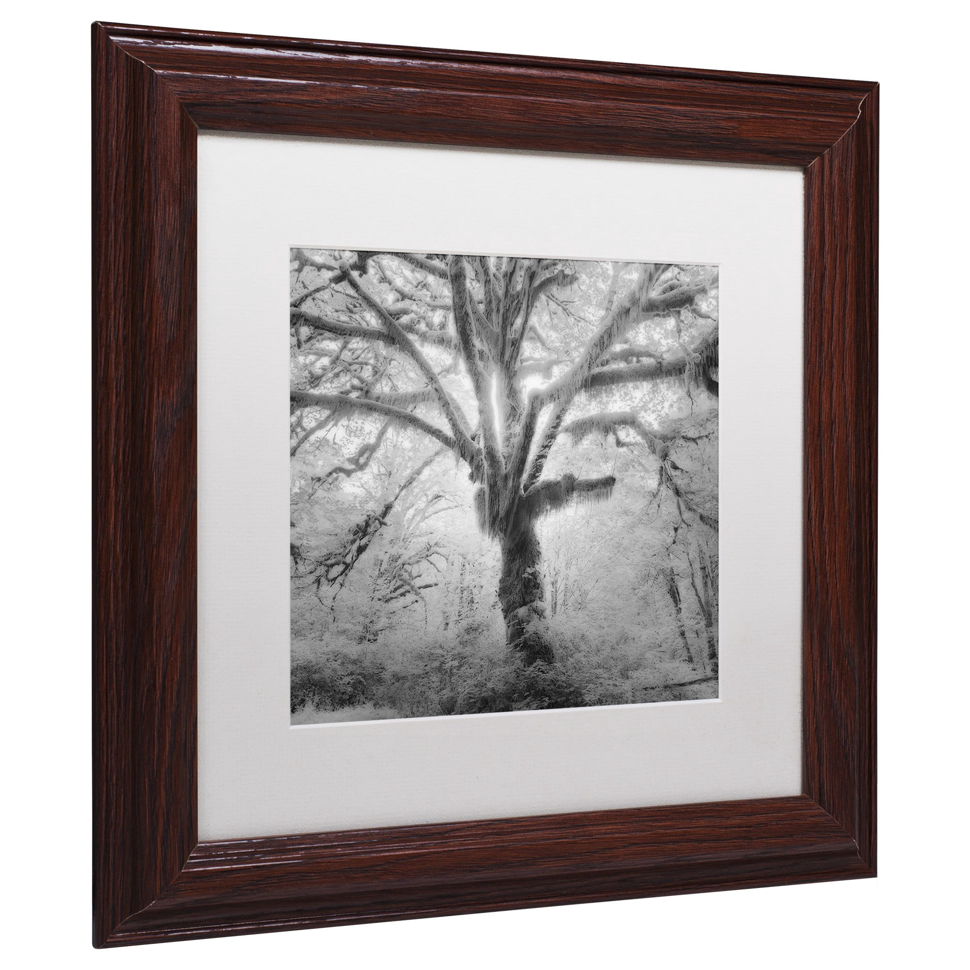 Moises Levy 'Lightning Tree II' Matted Framed Art