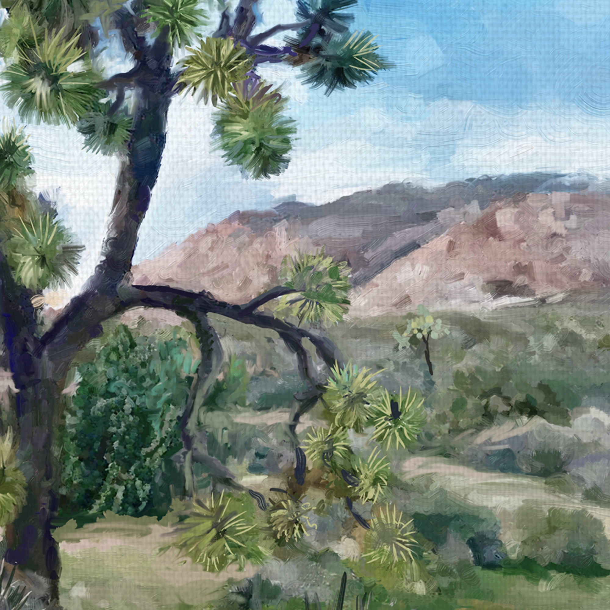 Joshua Tree Light by Studio Arts Wrapped Canvas Art Print