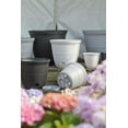thumbnail image 3 of Mainstays 15 inch Self Watering Plastic Planter with Saucer - Black, 3 of 3