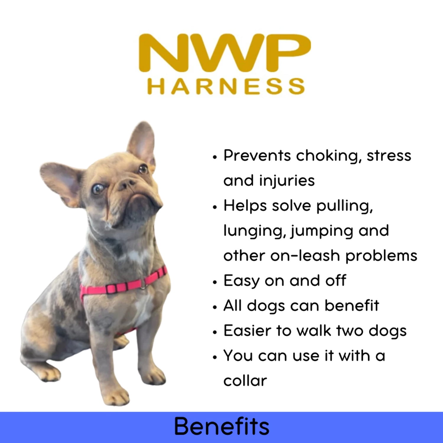 SENSE-ation® No-Pull Dog Training Harness Large 1" Red