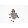 thumbnail image 4 of Bearded Dragon Toy, Lizards, Reptiles, Very Realistic Rubber Figure, Model, Educational, Animal, Hand Painted Figurines, 5" CH046 BB76, 4 of 8